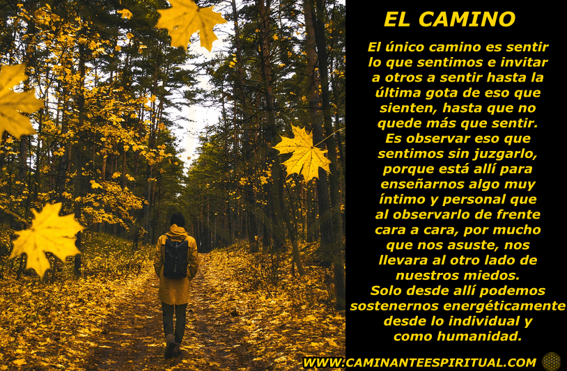 Blog 6 EL Camino
