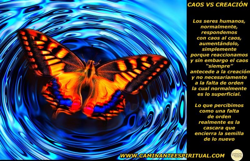 Blog 4 Efecto Mariposa