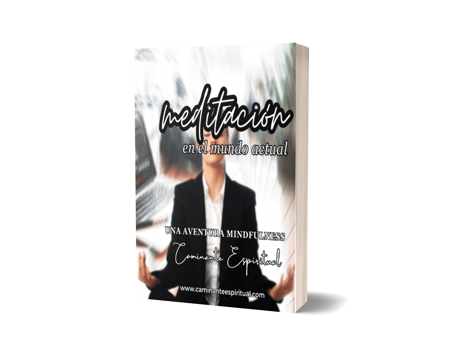 Book Meditación en el Mundo Actual 2 Portada Book Meditacion en el mundo Actual Reducida